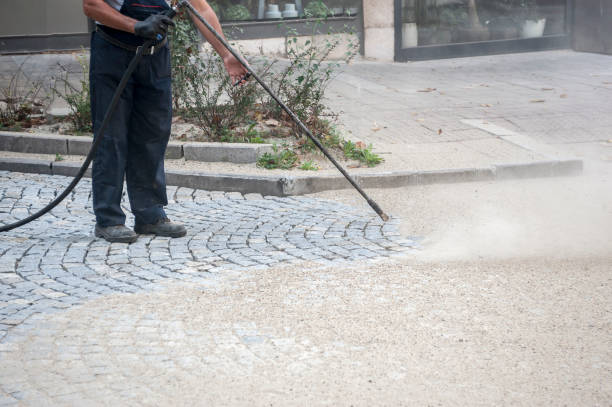 Best Spring Cleaning  in Palmetto, FL