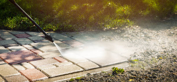 Best Driveway Pressure Washing  in Palmetto, FL